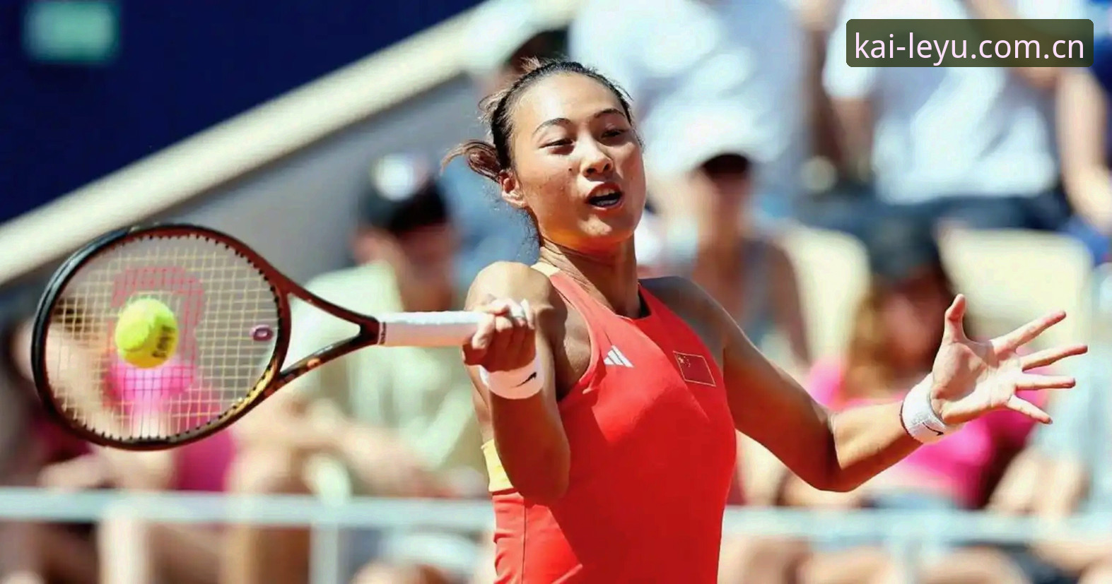 2026法网女单签表深度评测：郑钦文保分压力与王欣瑜种子首秀